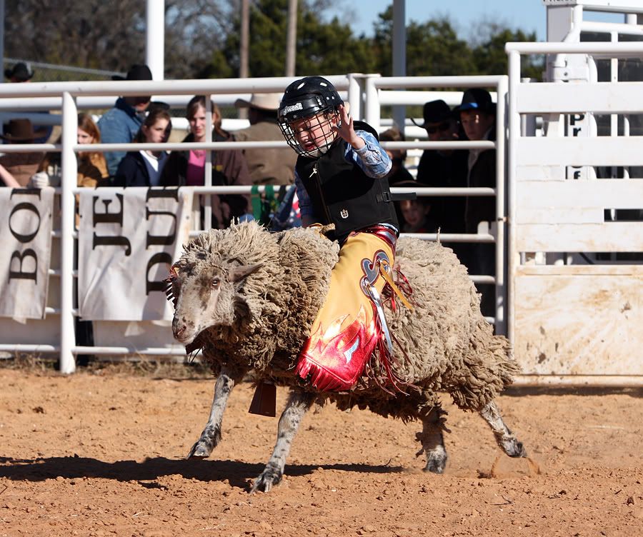 Youth Bull Riding Gear Pictures, Images & Photos Photobucket